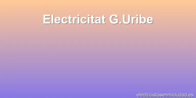 Electricitat G.Uribe
