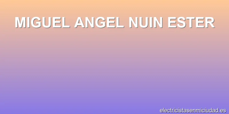 MIGUEL ANGEL NUIN ESTER