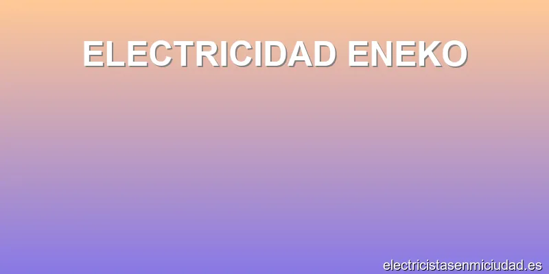 ELECTRICIDAD ENEKO