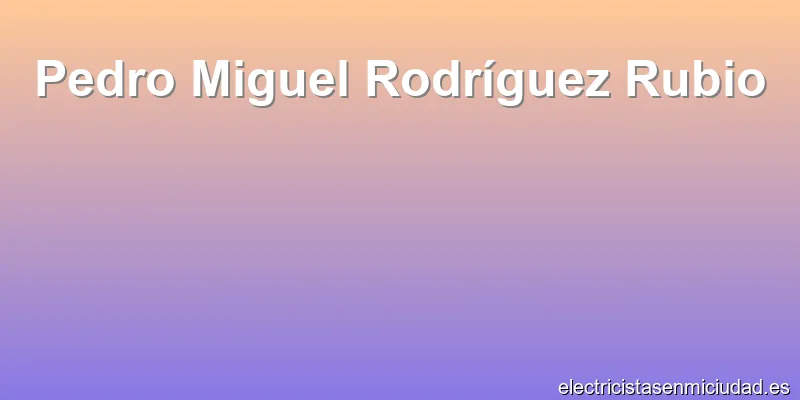 Pedro Miguel Rodríguez Rubio