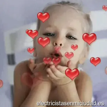 Francisco Polo S. L.