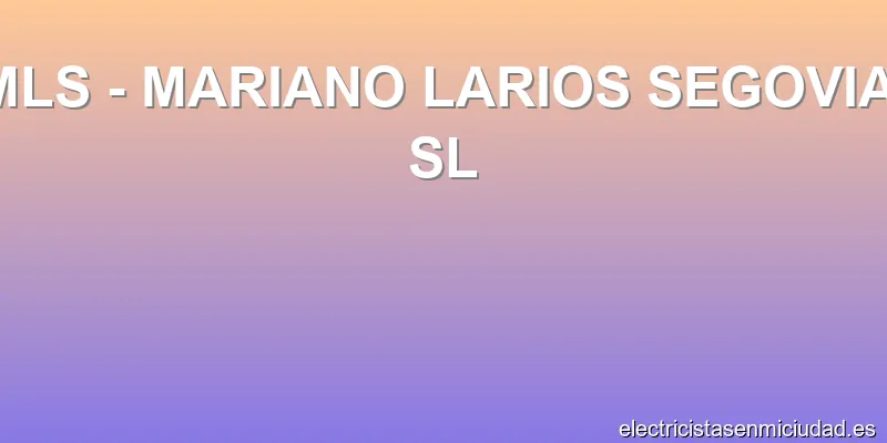 MLS - MARIANO LARIOS SEGOVIA, SL