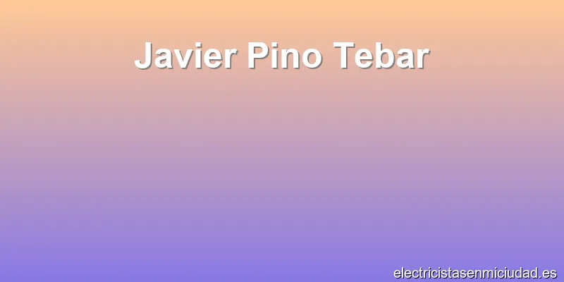 Javier Pino Tebar