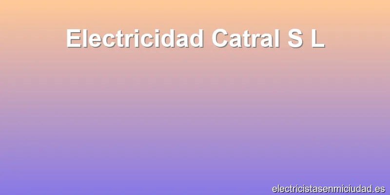 Electricidad Catral S L