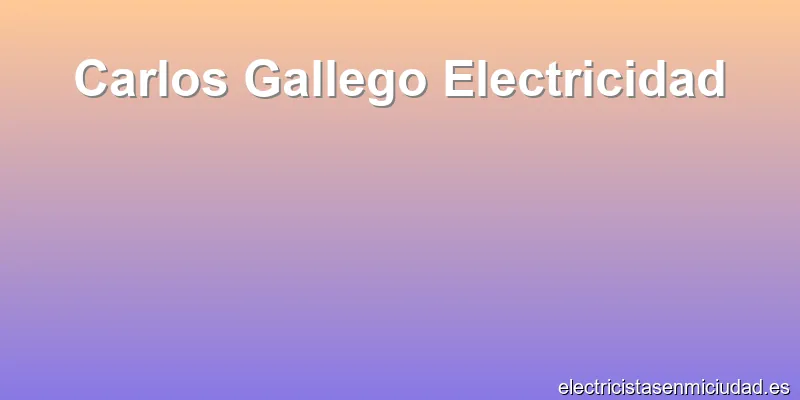 Carlos Gallego Electricidad