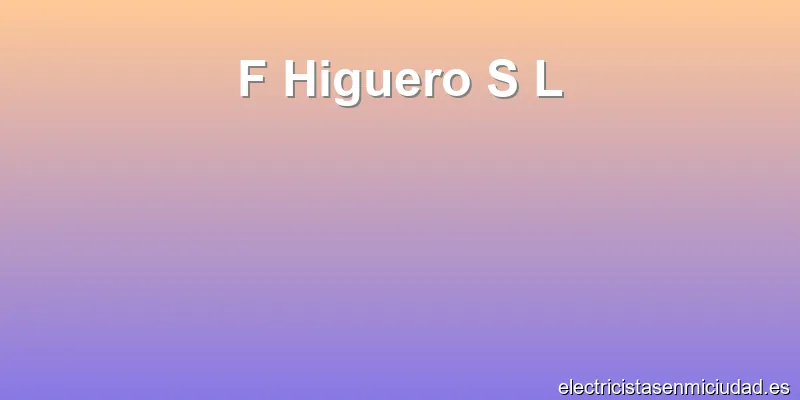 F Higuero S L