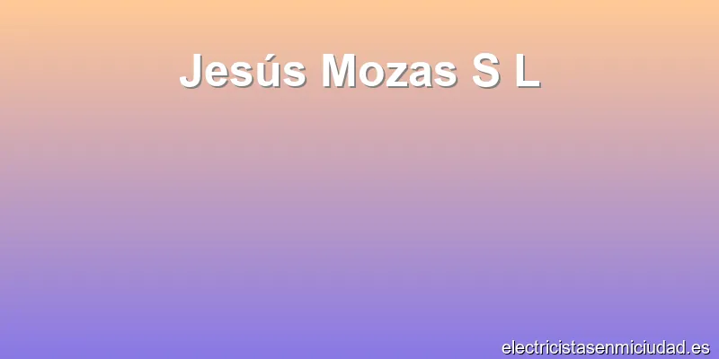 Jesús Mozas S L