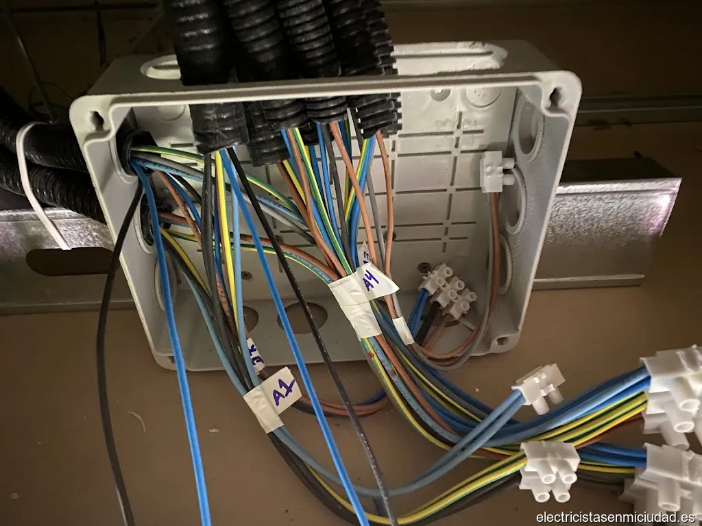 Electricidad Dénia 2025 S.L.