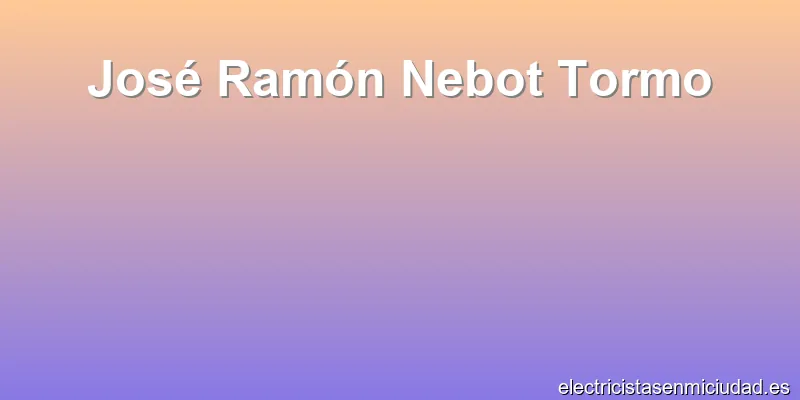 José Ramón Nebot Tormo