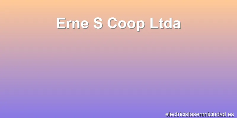 Erne S Coop Ltda