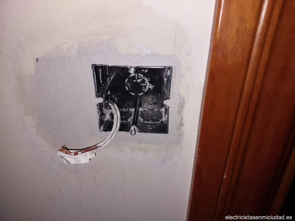 ELECTRICISTA Jesús Riesgo