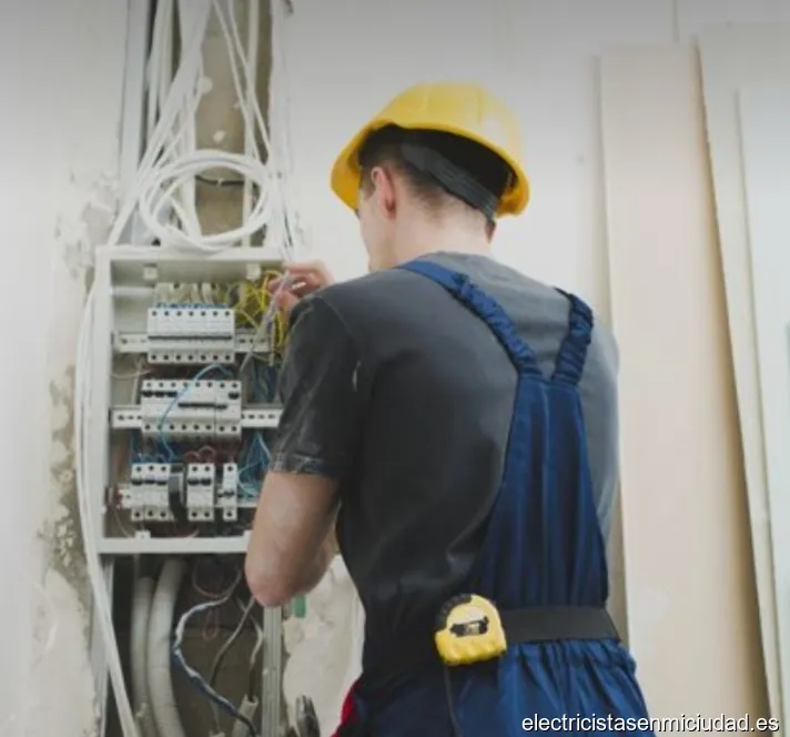 ELECTRICISTA PROFESIONAL