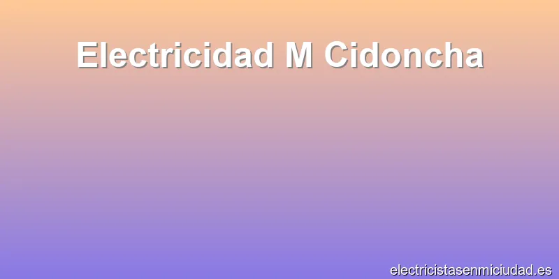 Electricidad M Cidoncha