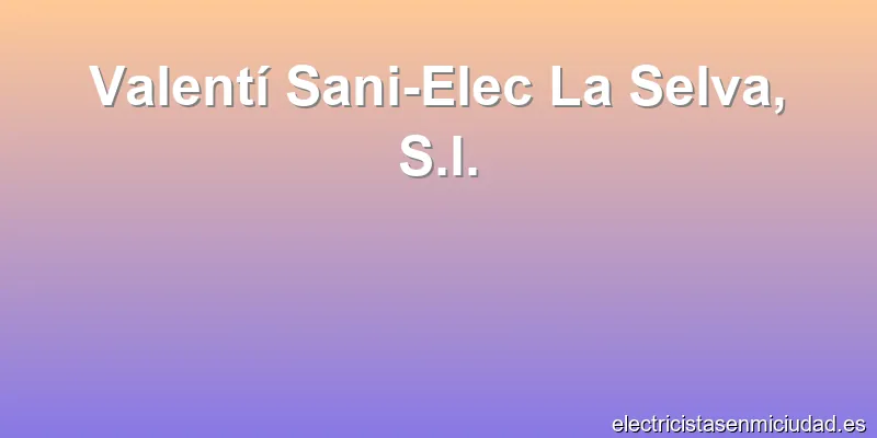 Valentí Sani-Elec La Selva, S.l.