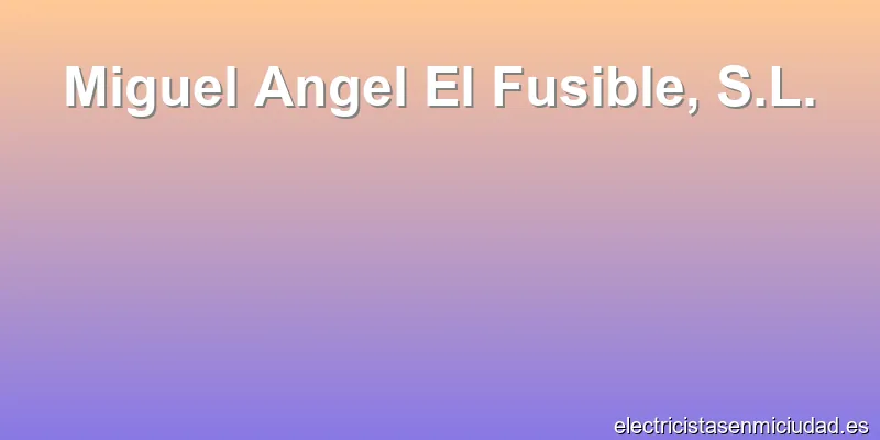 Miguel Angel El Fusible, S.L.
